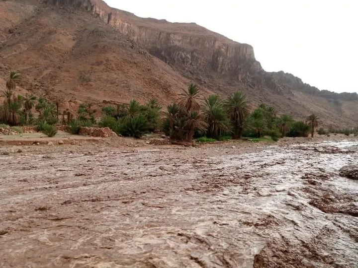 فيضانات الجنوب الشرقي.. إطلاق صفقات تهم 71 مقطعا طرقيا و69 منشأة فنية