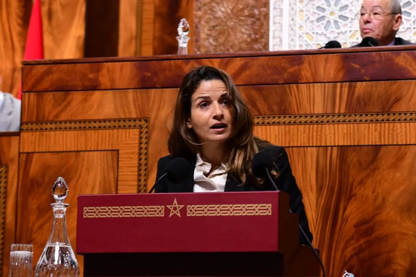 بنعلي: الوزارة ستواصل خلال سنة 2025 العمل على تسريع وتطوير مشاريع الطاقات المتجددة