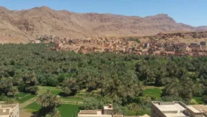 بهيجة سيمو: واحات تافيلالت نماذج لتدبير الموارد المائية عبر التاريخ