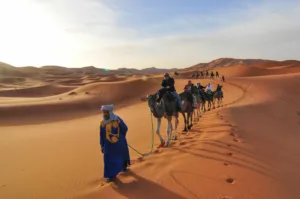 العمري يدعو عمّور إلى تثمين الرصيد السياحي لجهة درعة تافيلالت