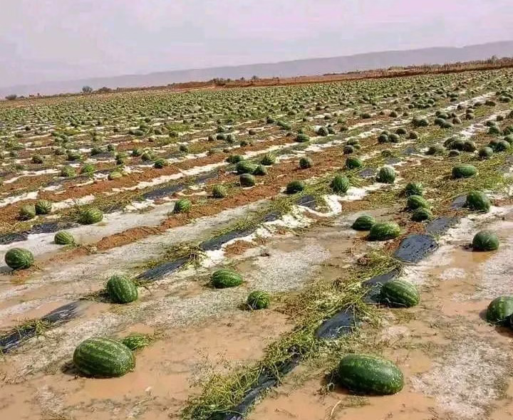 / إذاعة درعة تافيلالت الجهوية