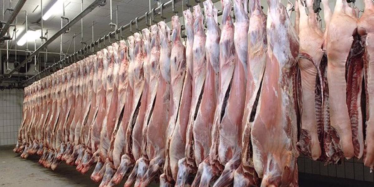 إغلاق مؤقت للمجزرة الجماعية بإغرم نوكدال بمناسبة عيد الأضحى