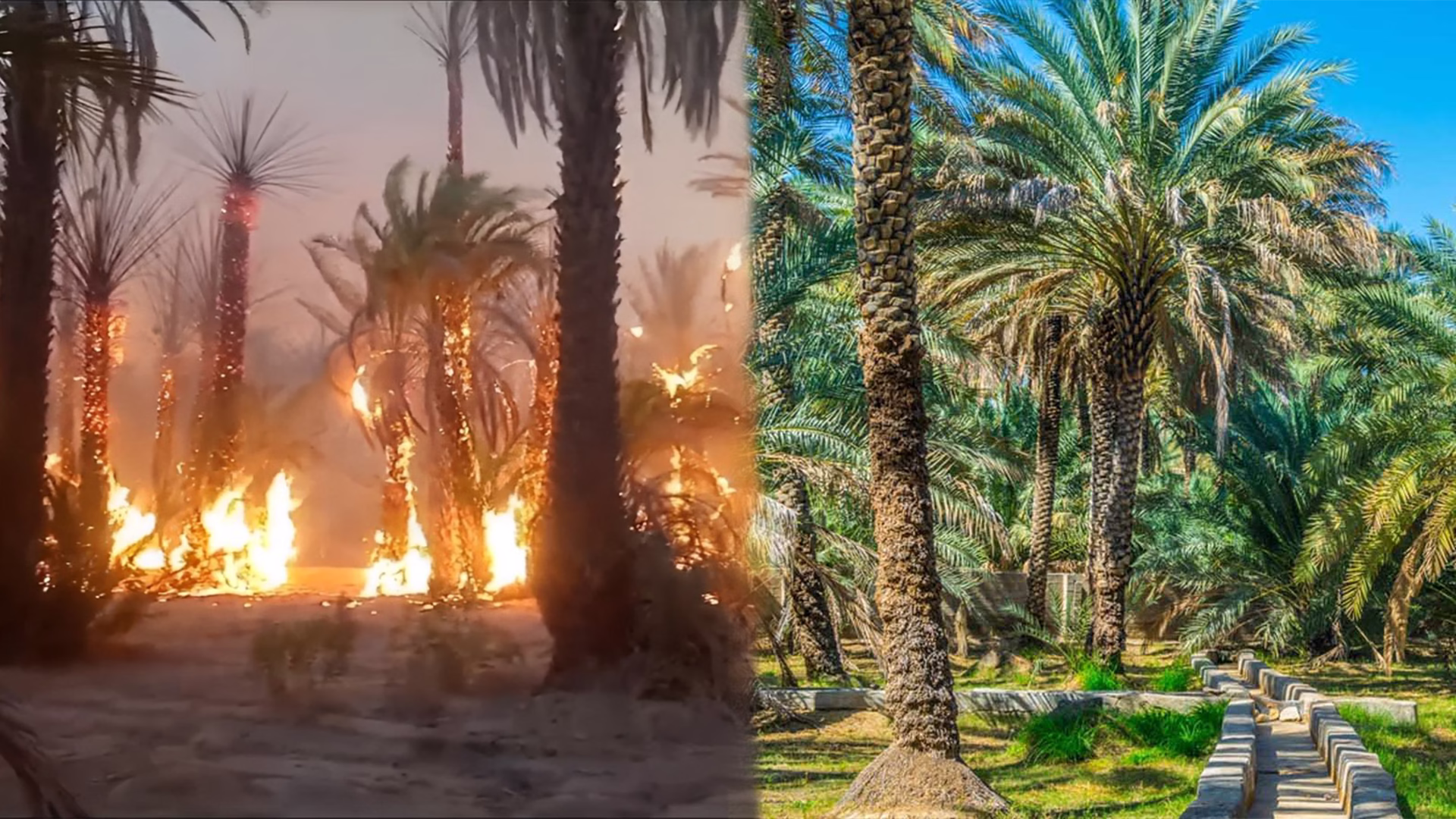 درعة تافيلالت بين الرماد والمقاومة.. حكاية الواحات وصمود الأمل