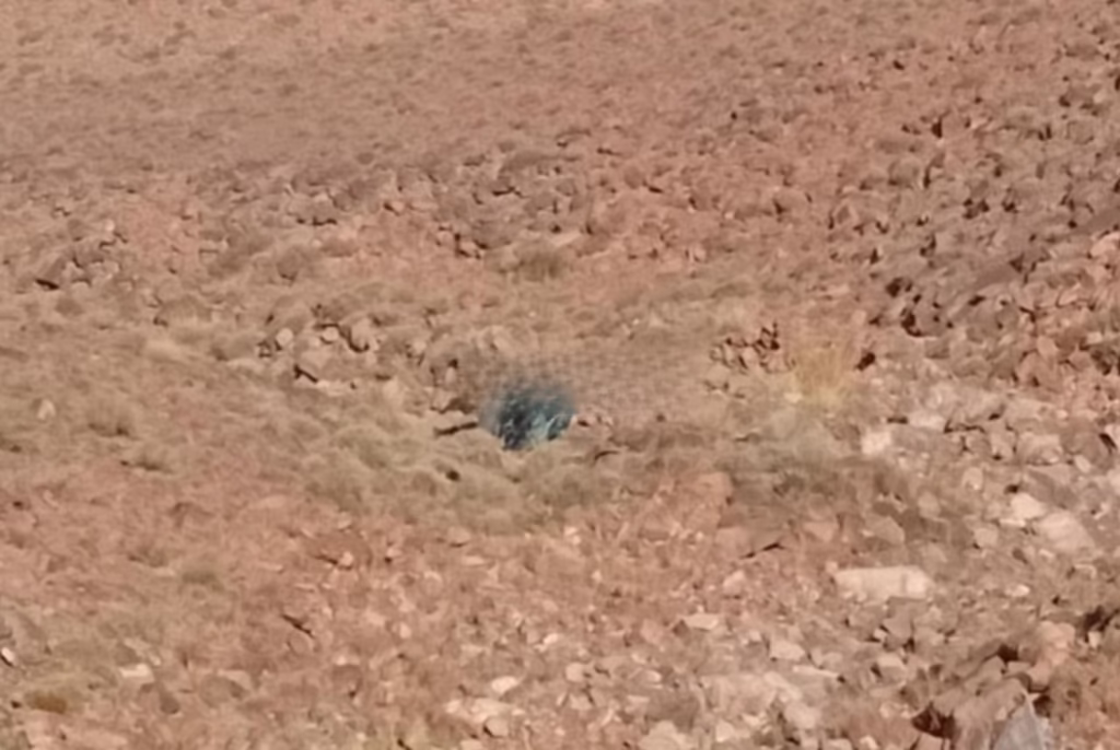 ddfcf79c-89de-48b5-bfdb-2c136b3ab4d4 / إذاعة درعة تافيلالت الجهوية