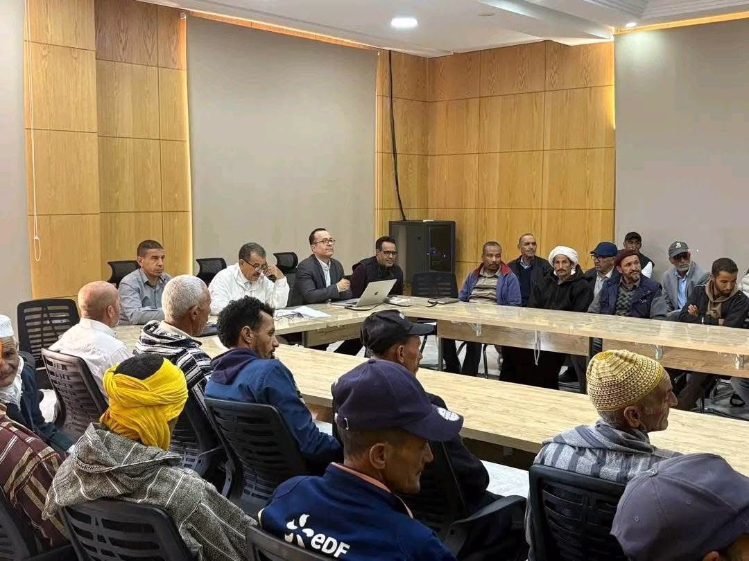 تواصل جهود تطوير قطاع تربية المواشي بورزازات ضمن استراتيجية “الجيل الأخضر”