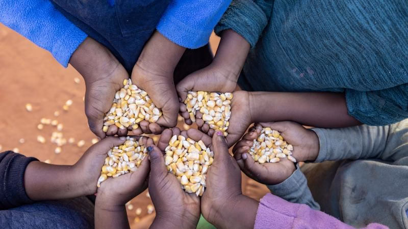 الأمم المتحدة تحذر من تفاقم أزمة الأمن الغذائي في 16 دولة