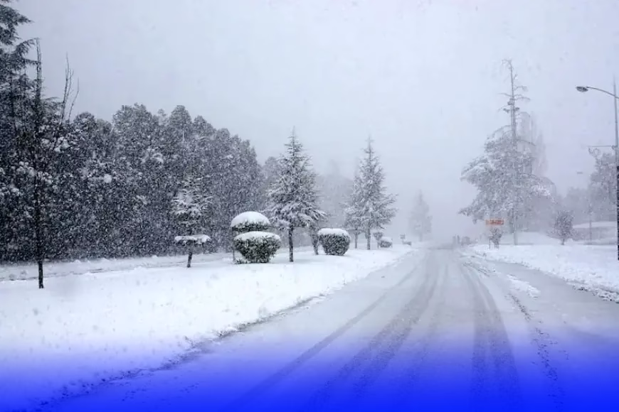 من بينها ورزازات.. تساقطات ثلجية مرتقبة بالمرتفعات ابتداءً من الثلاثاء