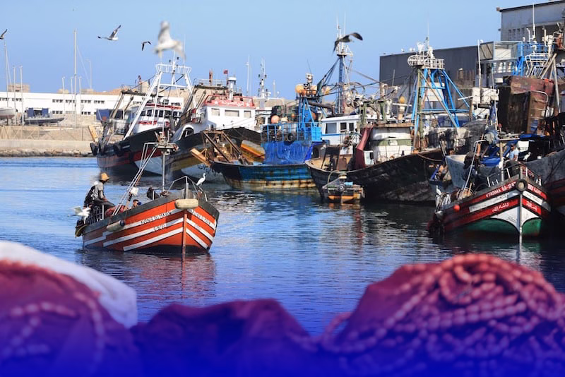 المغرب يقود الدول المستفيدة من الصيد البحري الأوروبي منذ سبعينيات القرن الماضي