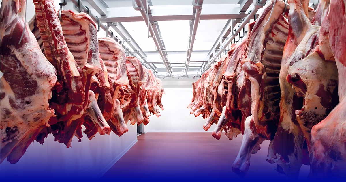 غلاء “لحم الغنمي” بالمغرب: العوامل الموسمية وأزمة الاستيراد