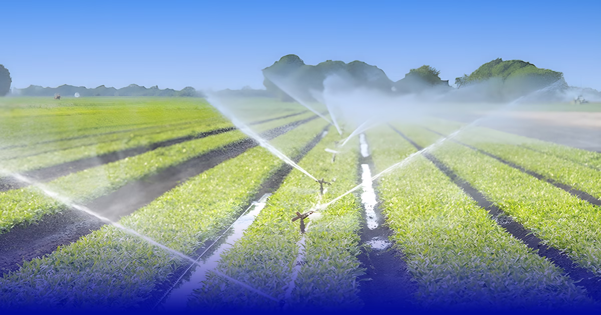 تباطؤ طفيف للاقتصاد المغربي وتحسن الفلاحة يخفف الضغط