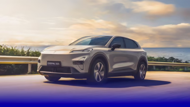 الغزو الصيني