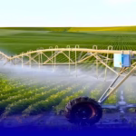 المغرب و هولندا