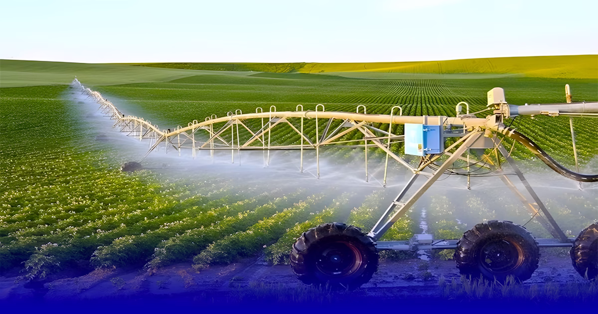 المغرب و هولندا