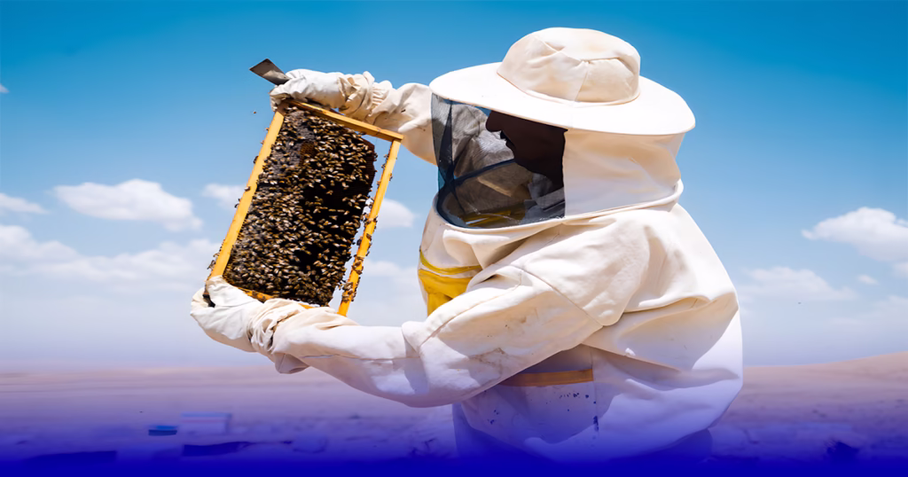 النحل و العسل