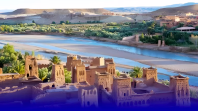 اليوم العالمي للأثار