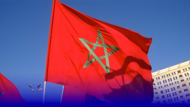 برامج التنمية