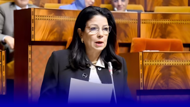 تغطية الانترنيت