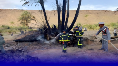 حريق بزاكورة