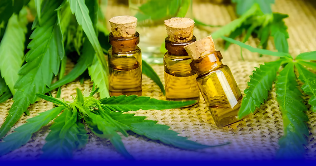 زيت القنب