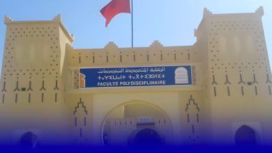 كلية متعددة التخصصات