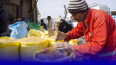 واردات القمح