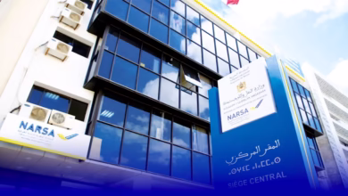 وكالة النارسا