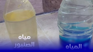 الرشيدية