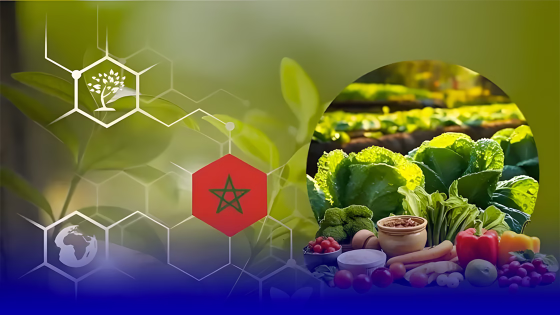 الفلاحة و الاستثمار