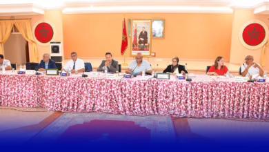 الرشيدية