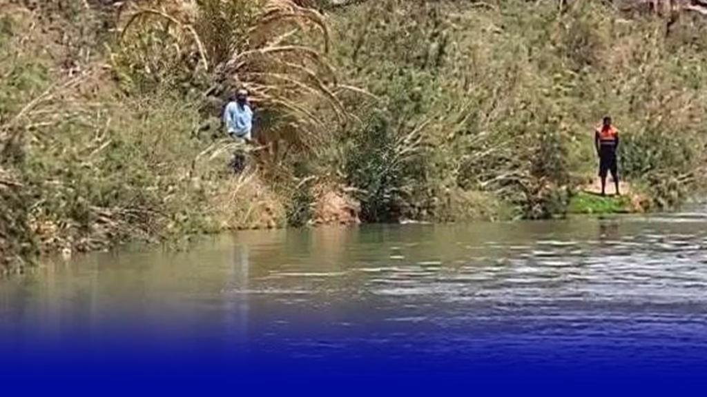 استنفار