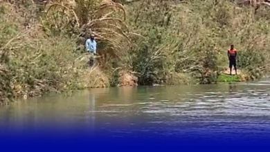 استنفار