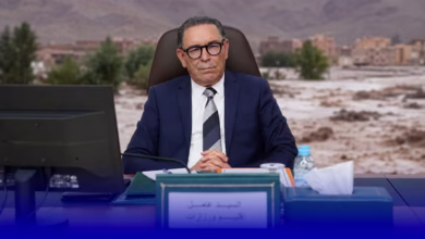 الفيصانات