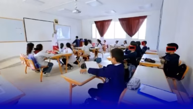 الاستاذ المرجعي