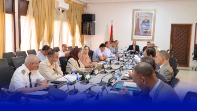 الرشيدية