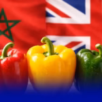 الصادرات