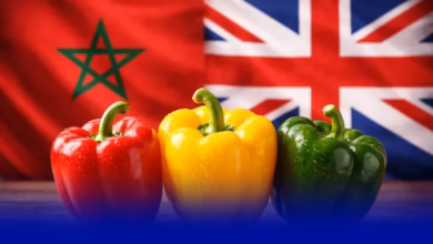 الصادرات