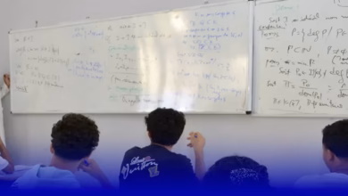 بيزا