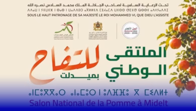 ميدلت
