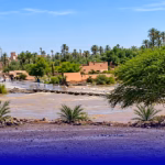 الأودية