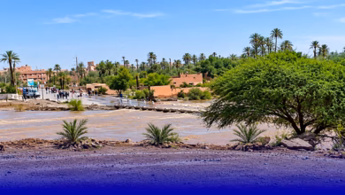 الأودية