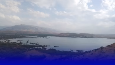 السدود