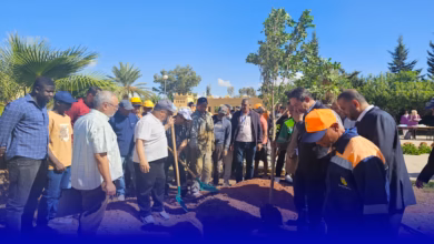 القطب الجامعي