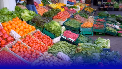 المعيشة