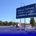 ترميكت