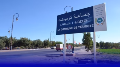 ترميكت