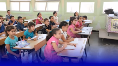 دمج الاقسام