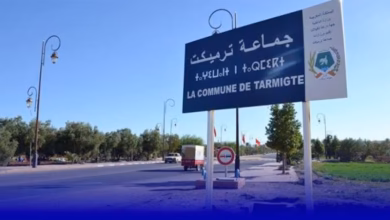 مجلس ترميكت