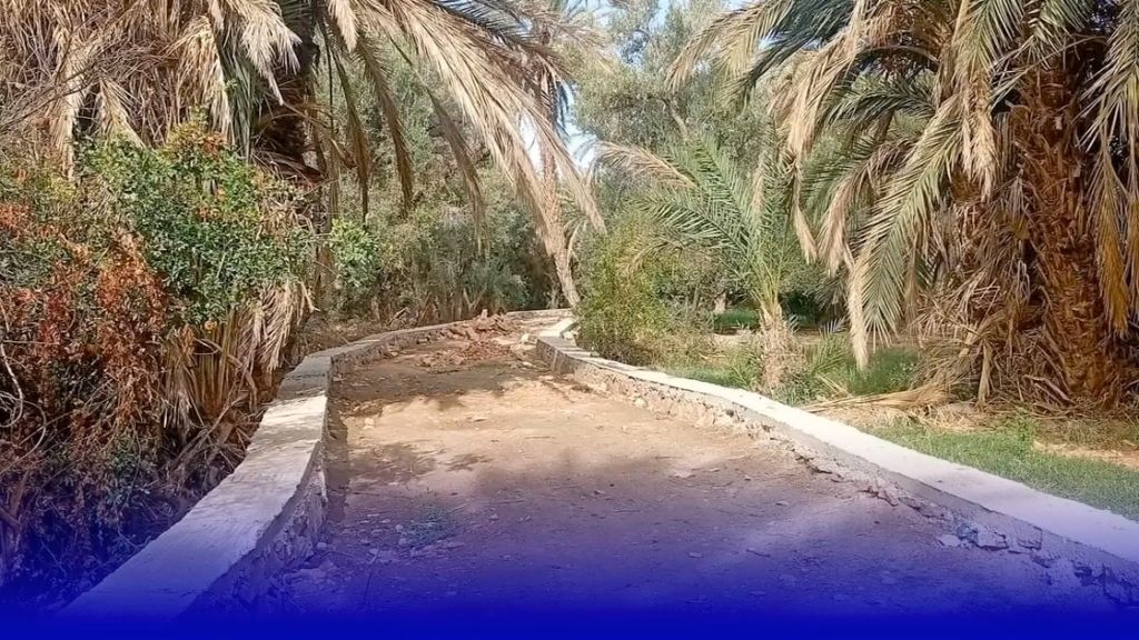 مسلك غابوي