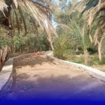 مسلك غابوي